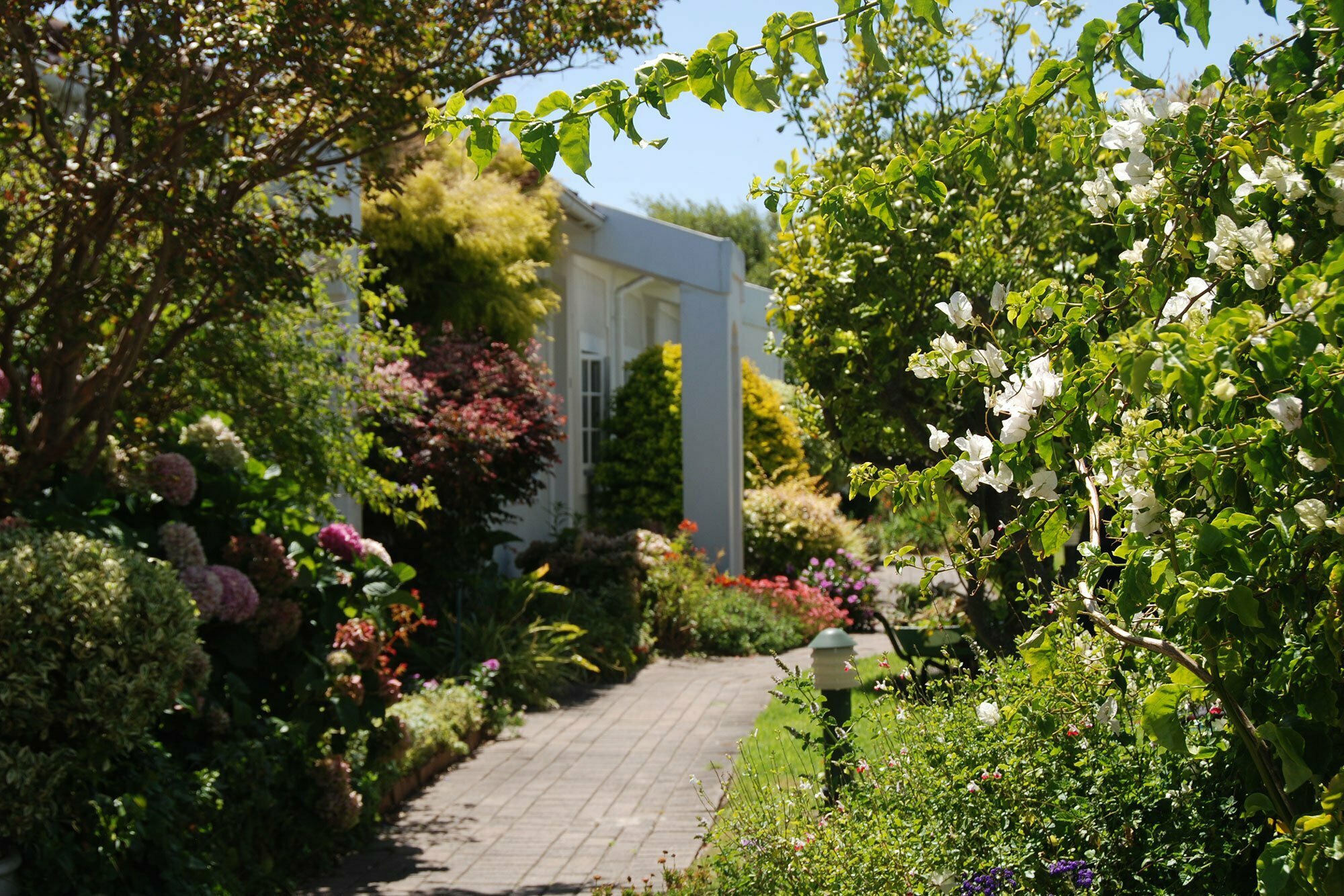 Landscaped gardens and green outdoor spaces are a feature of luxury retirement