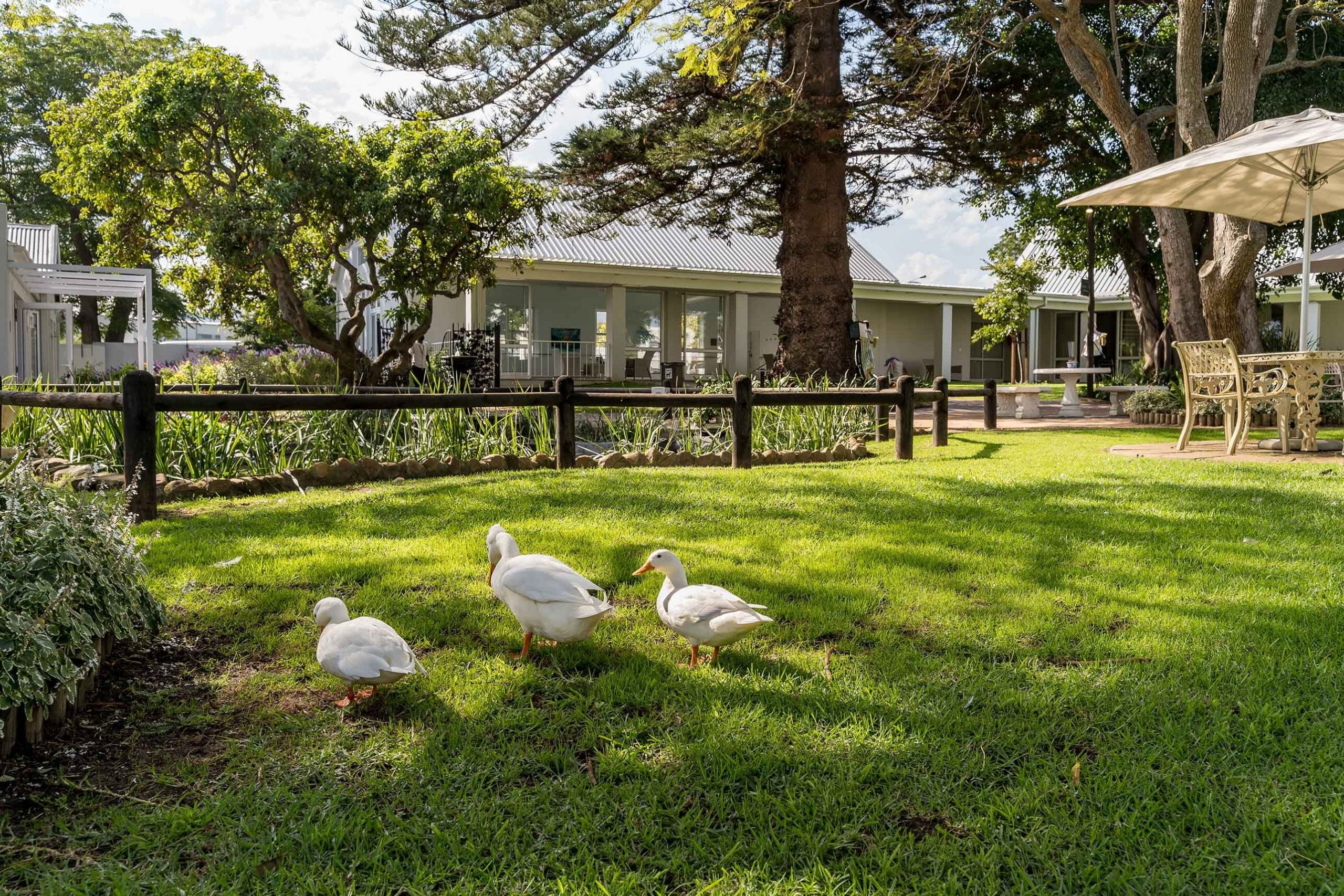 Social activity, relaxation, good food and community are a Western Cape Retirement dream at Faircape Life