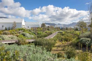 Why The Western Cape Is A Retirement Hotspot 2021