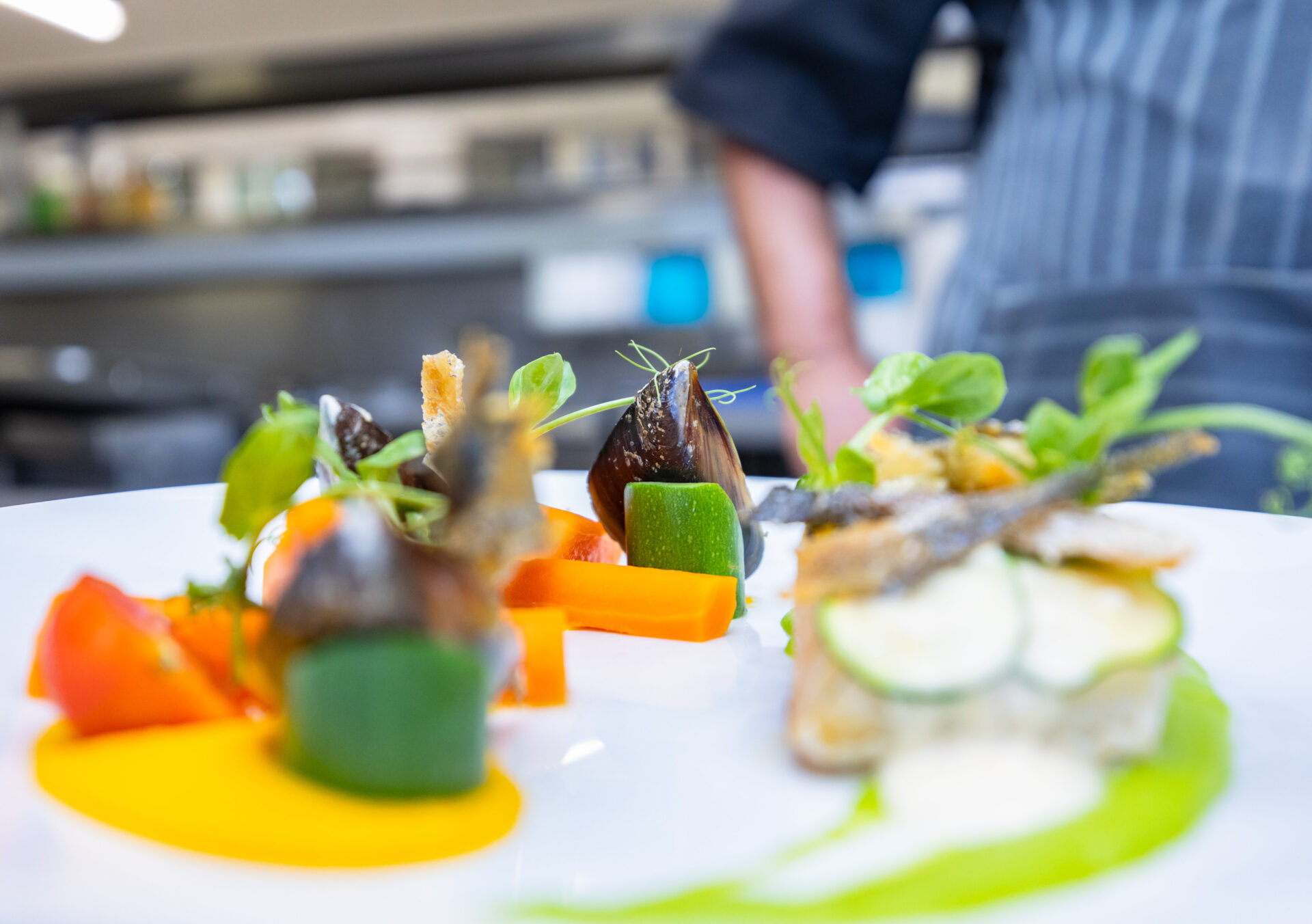 Enriching Lifestyle of Faircape Life 