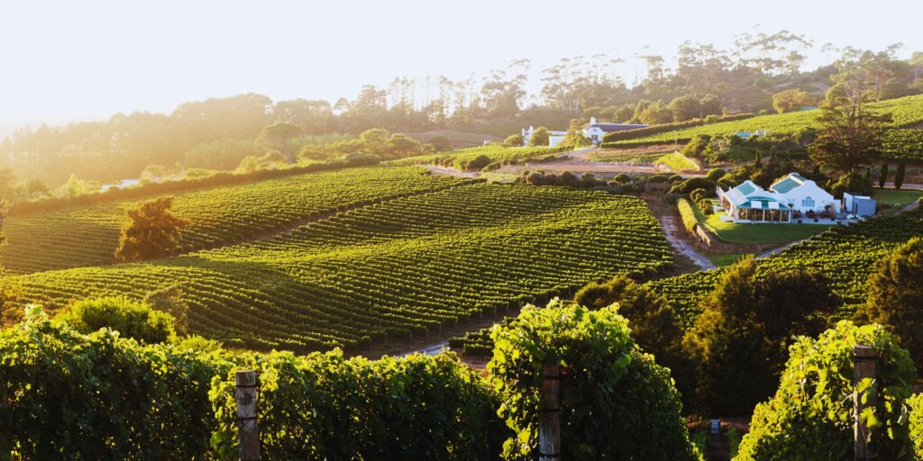 The World’s Best City