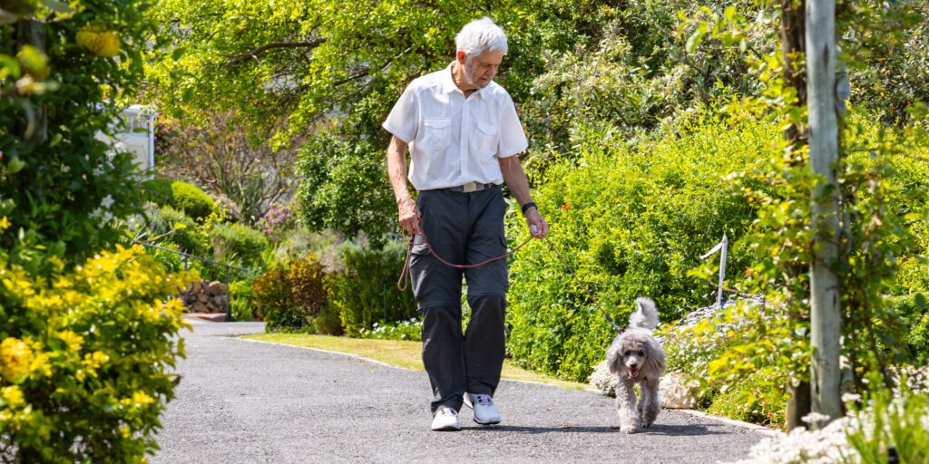 The World’s Best City